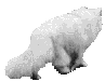 #chat363#