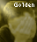 #goldenfpalm3#