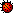 #ladybug#